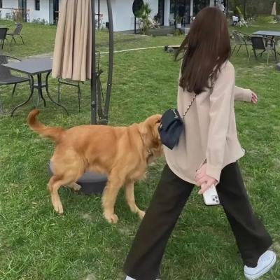 老头儿